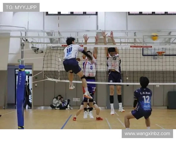 上海排球队的节奏解析与深度剖析排球运动的魅力与挑战