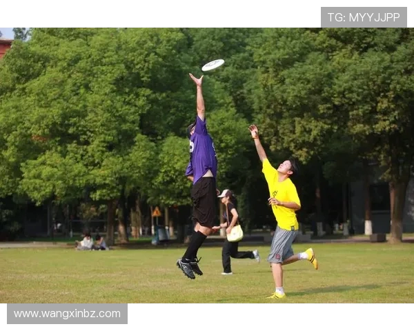 上海飞盘队创历史新高飞盘速度排名引发广泛关注与热议