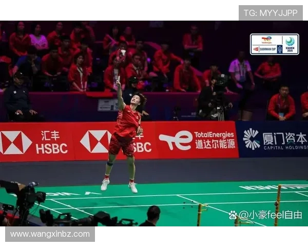 羽毛球焦点：深入分析成都羽毛球队的团队协作与战术配合