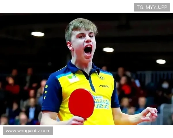 乒乓球运动的魅力与发展趋势探析及其对全民健身的重要影响 乒乓球运动的魅力与发展趋势探析及其对全民健身的重要影响