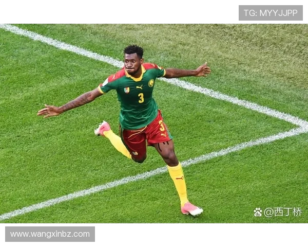 喀麦隆与荷兰上半场精彩对决分析及战术解读 喀麦隆与荷兰上半场精彩对决分析及战术解读